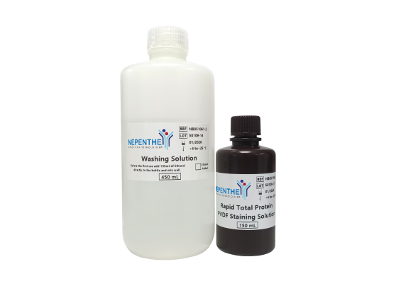 rapid total protein staining kit